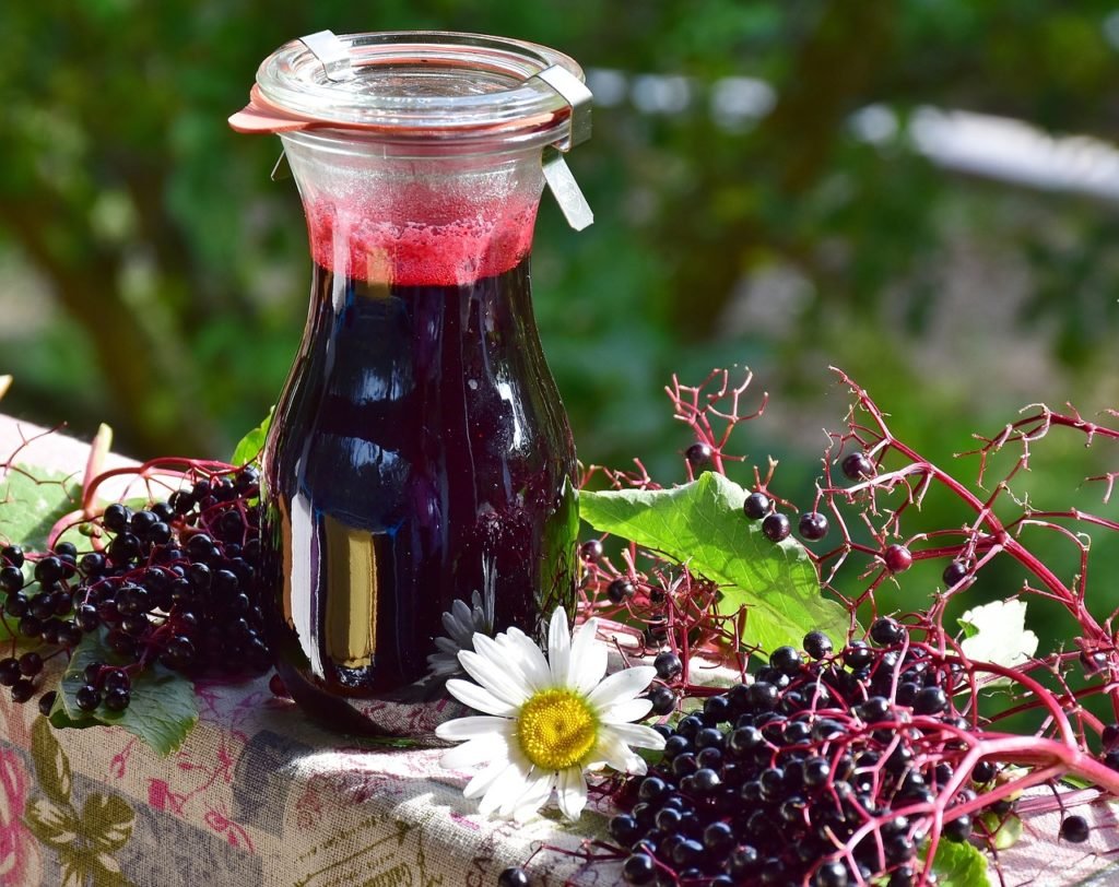 elder, elderberries, berries-2652601.jpg